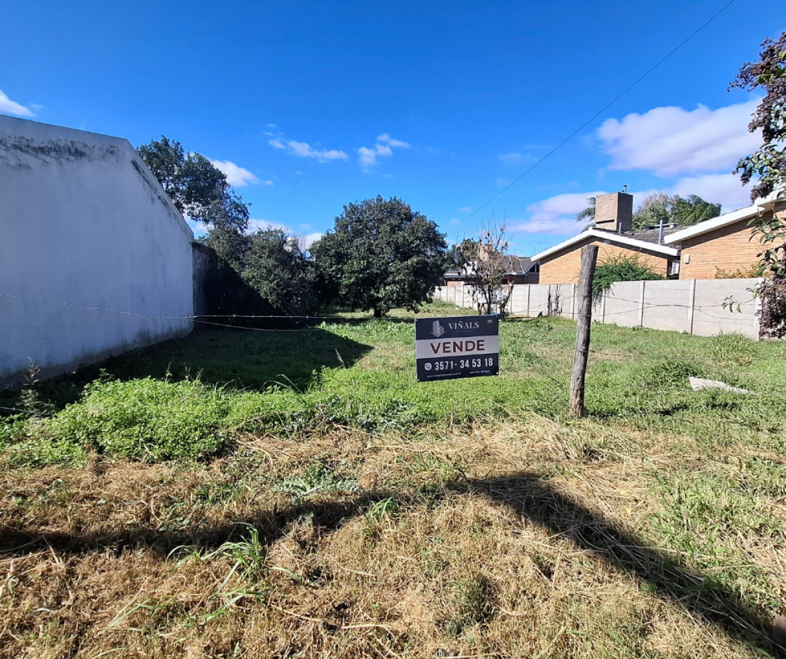 VENTA DE LOTE EN ALMAFUERTE